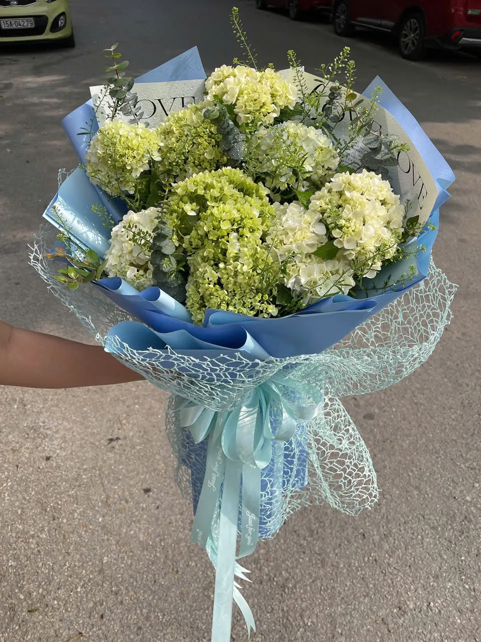 Bó hoa cẩm tú cầu trắng xanh
